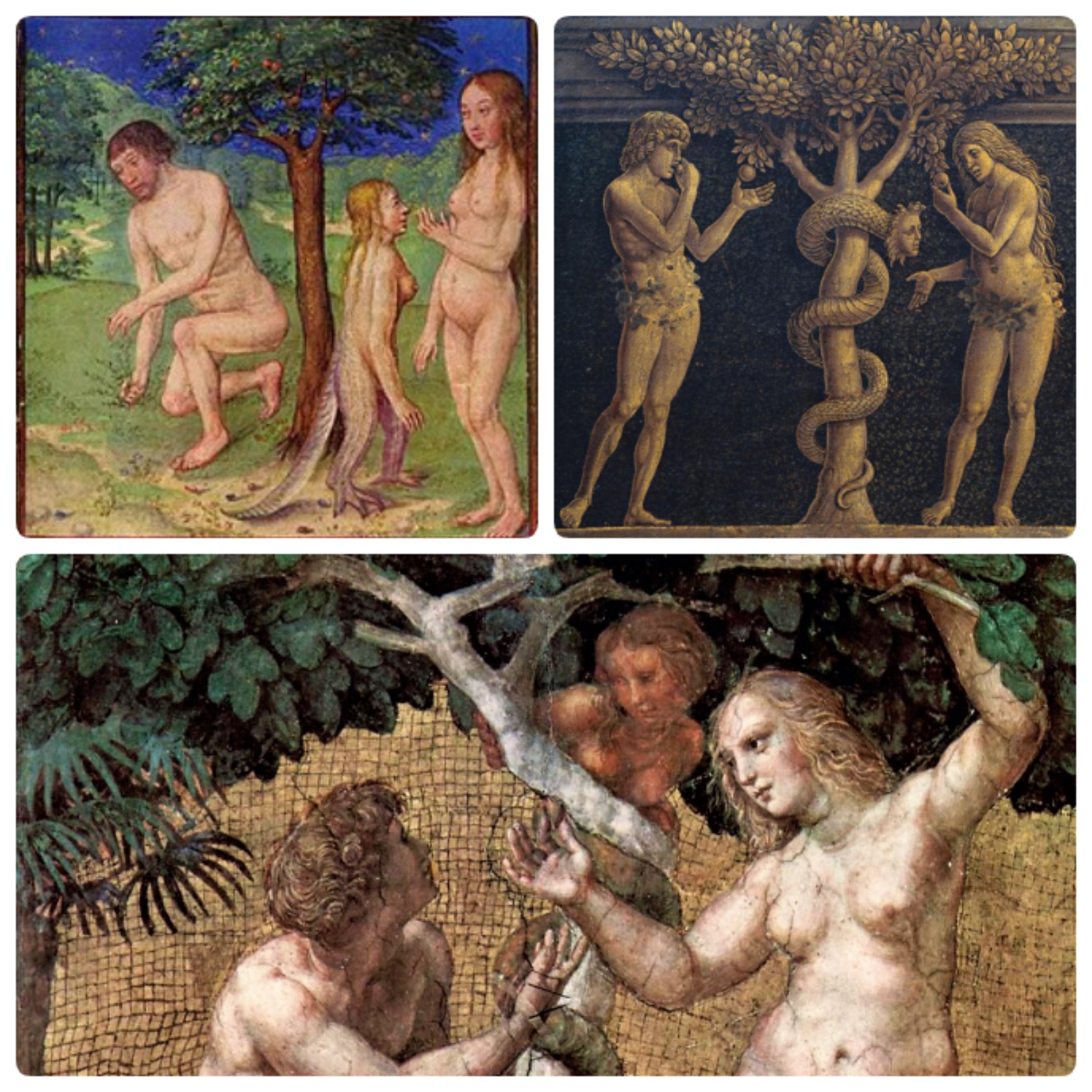 Блог mudder - img1605410014793.jpg