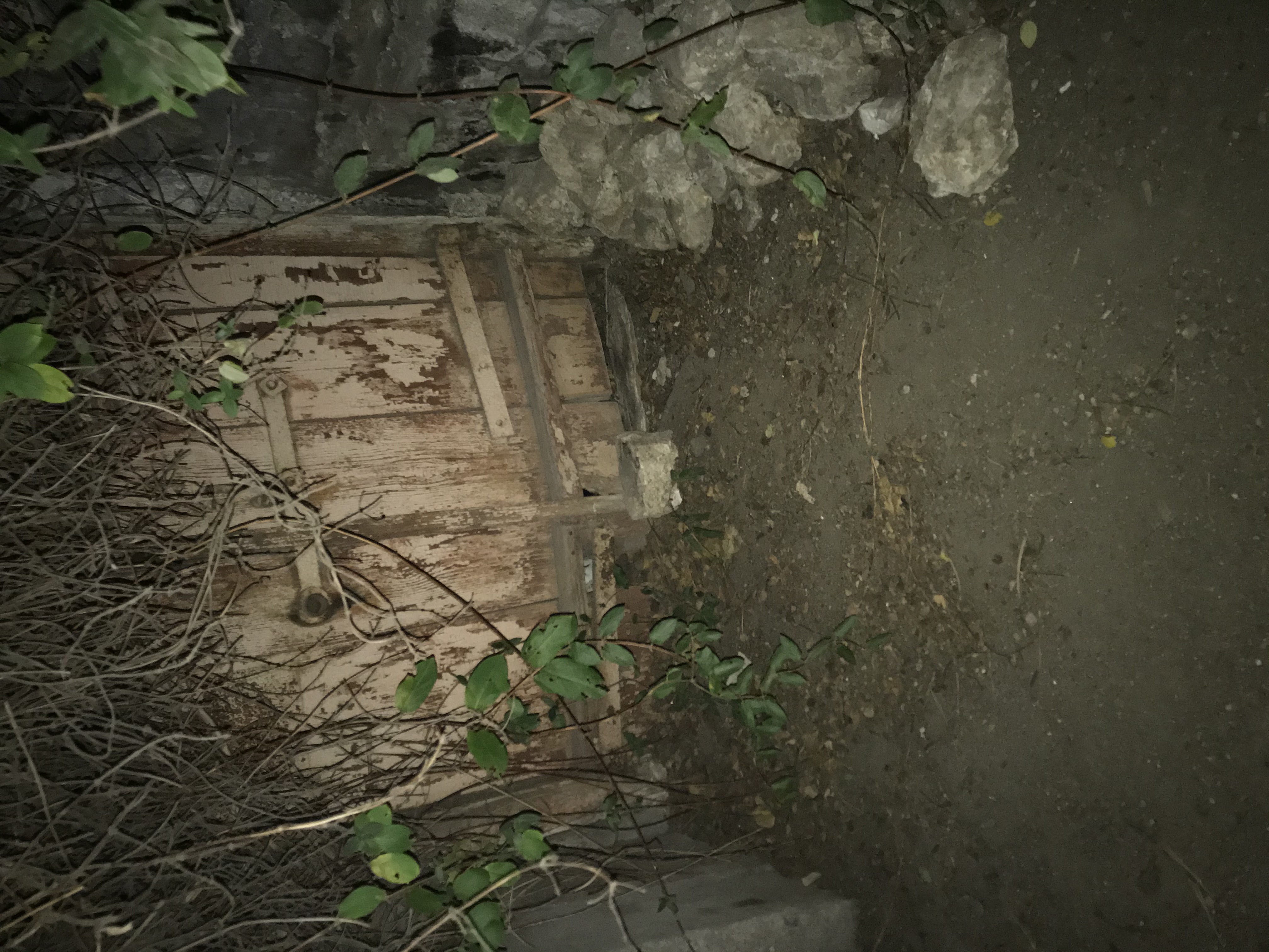 Возможно этот подвал,как думаете ?.. - A066C222-15E0-4208-9409-22303F0D23F8.jpeg
