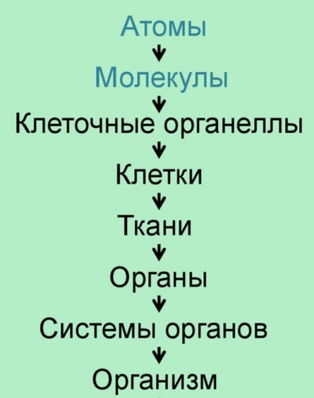 Блог mudder - IMG_20201118_191644.jpg