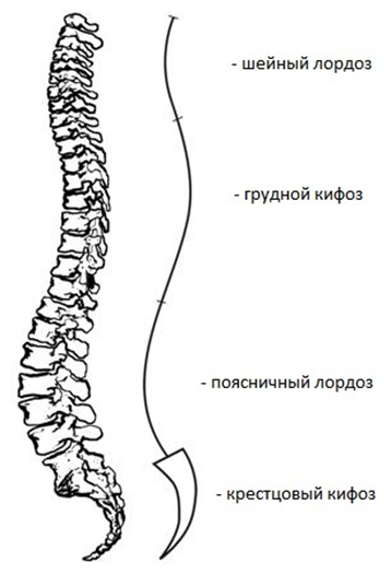 Блог mudder - tmpAA4B.png