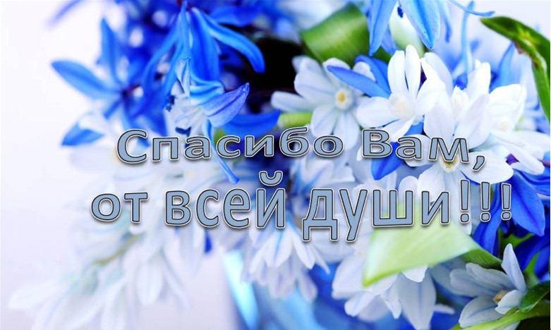 solncepunya - Спасибо.jpg