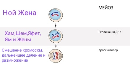 Блог mudder - IMG_20201129_195041.jpg