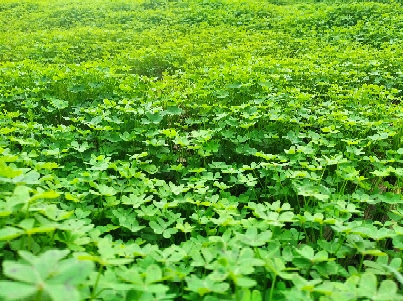 Блог mudder - Resizer_16069025786500.jpg