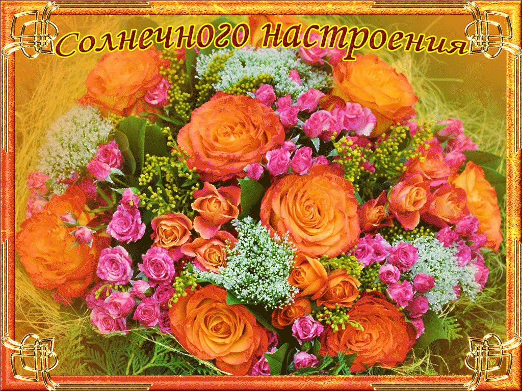 Смешались в кучу....кот, деревья: Есть итоги  - конкурс2.gif