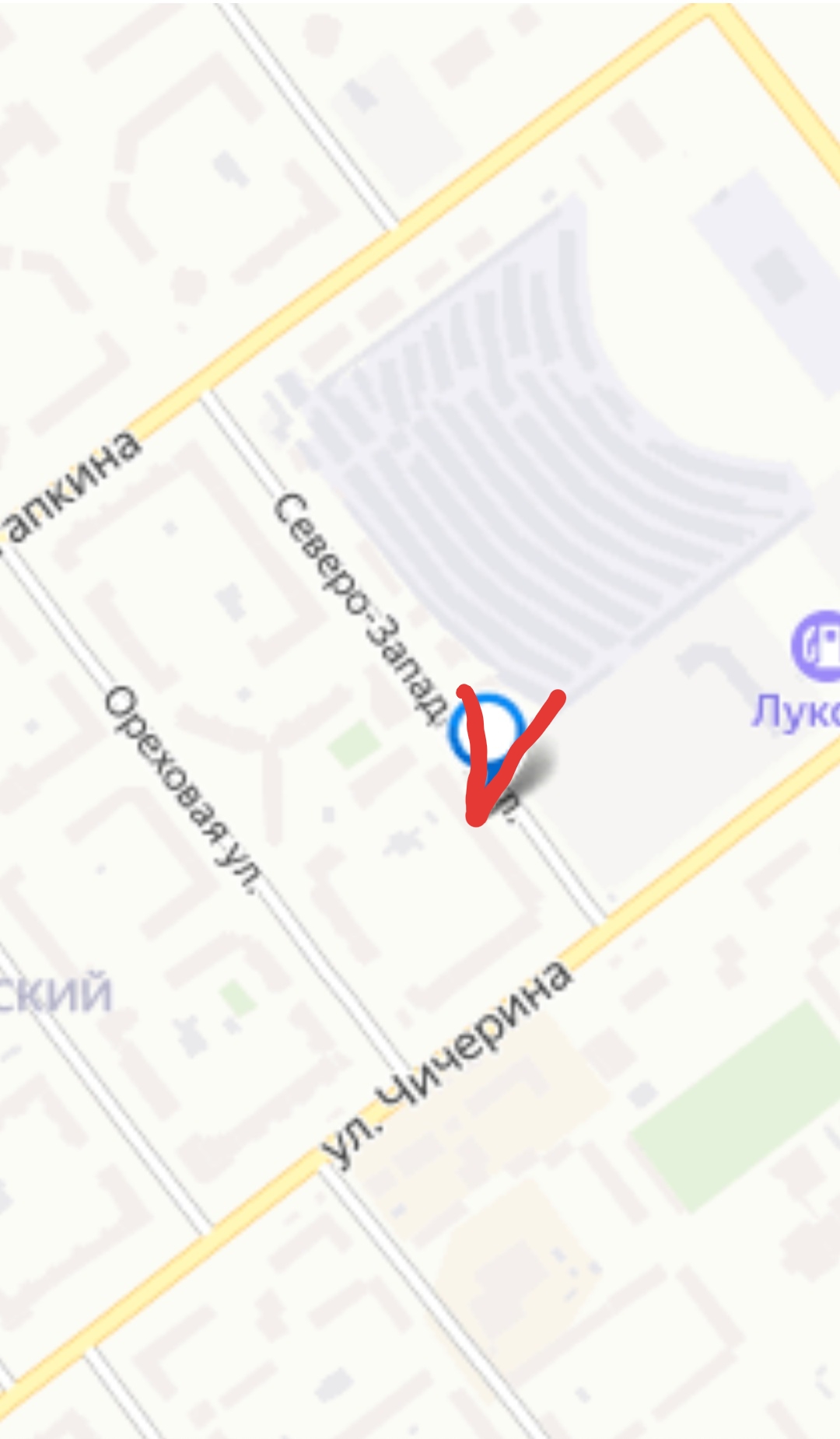 Помогите, пожалуйста, узнать, жив ли котик  - 20201215_200003.jpg