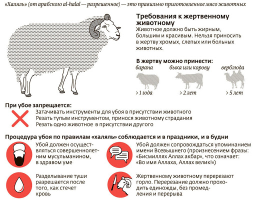 Блог mudder - unnamed (1).jpg
