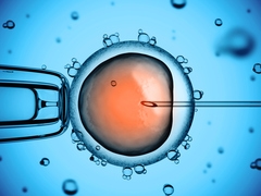 Блог mudder - ivf.jpg