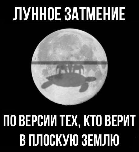 Не повезло ;  - dc3260a955dc.jpg