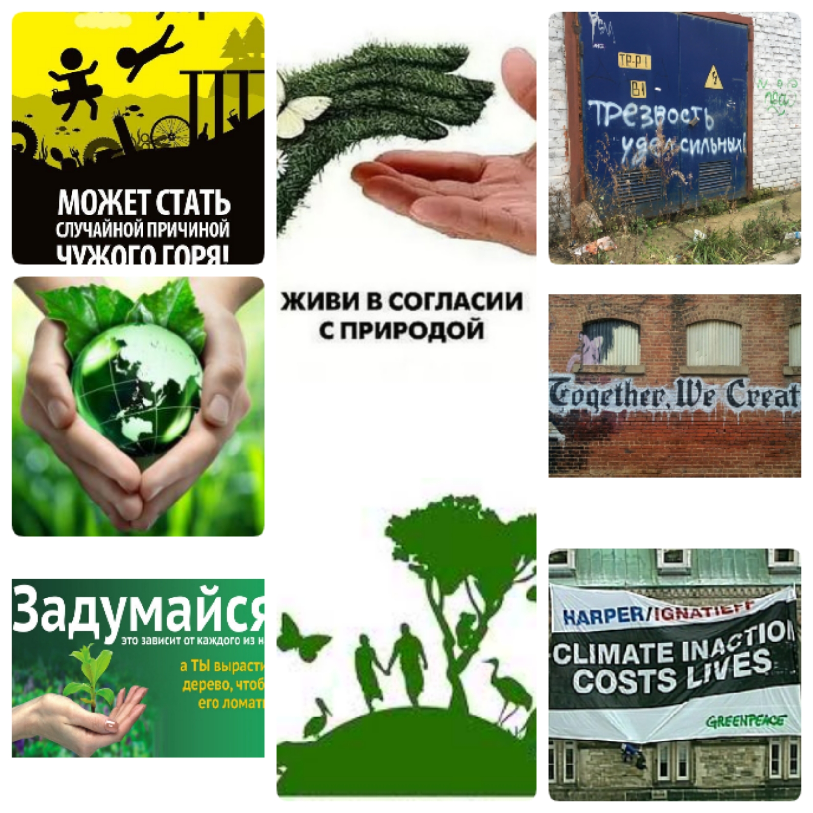 Блог mudder - img1609919778504.jpg