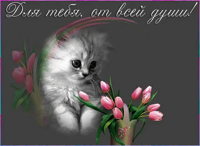 Реализация. Песочница - IMG_20191222_175412.gif