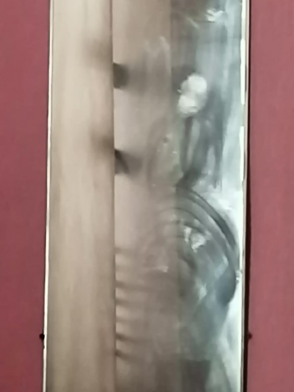 Кто это и что оно делает в моем доме? - IMG-20201123-WA0001.jpg