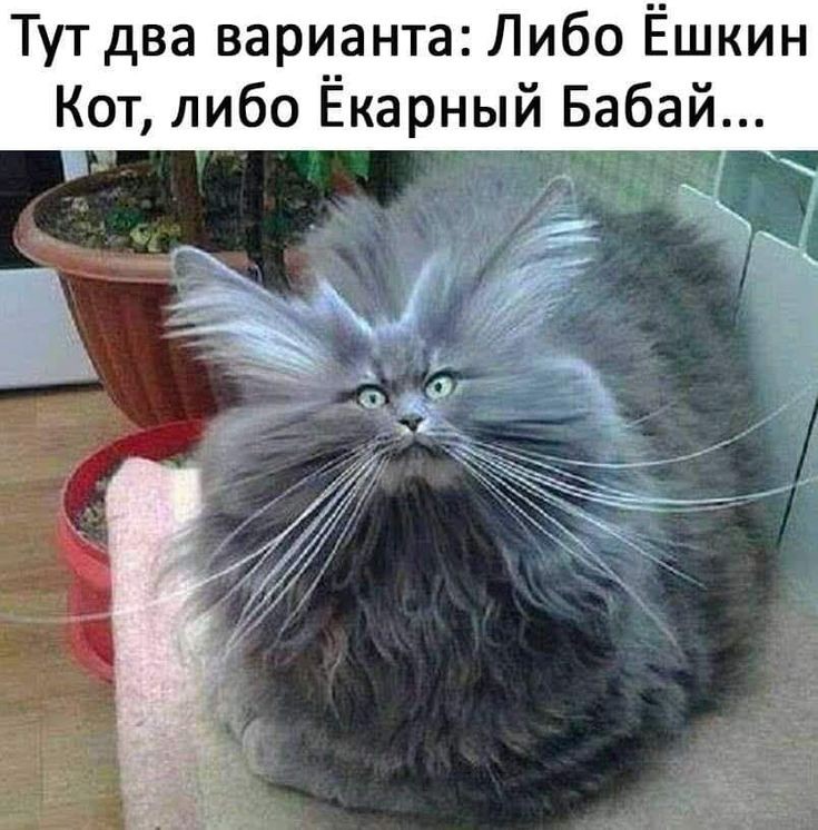 Можно ли рассмотреть магию с точки зрения науки? - 4bfd91e060b8af0644cde9d3517b7288.jpg