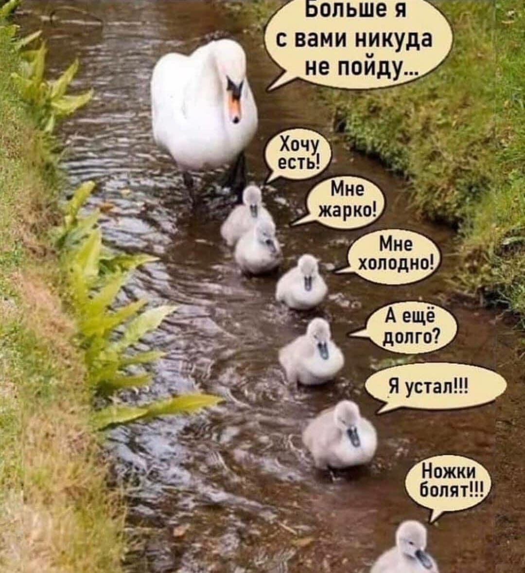 Придумаем название к фото??? - IMG_20200506_060515.jpg