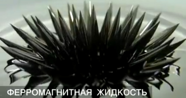 С миру по нитке - IMG_20210130_182332.jpg