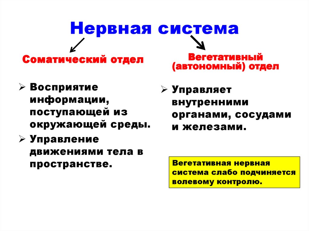 С миру по нитке - slide-1.jpg