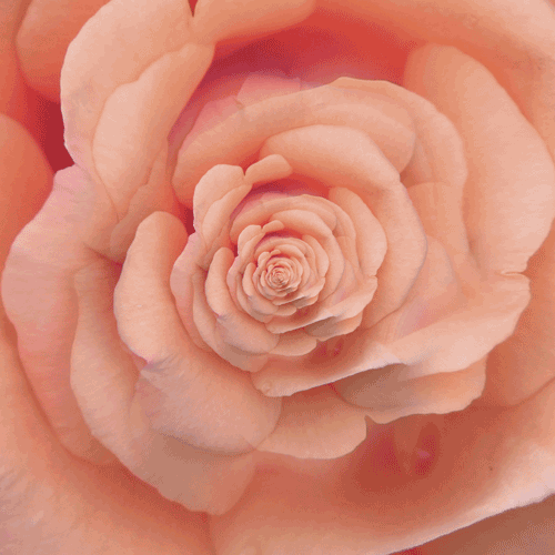 С миру по нитке - f9b498059699b9ae3c2525c9bcc92053.gif