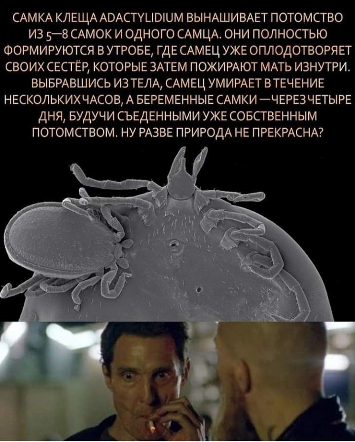 С миру по нитке - 157138106_481673026536114_3560119246405617963_n.jpg