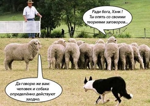 Анекдоты, и ходячие анекдоты - rqixVwYlqjA.jpg