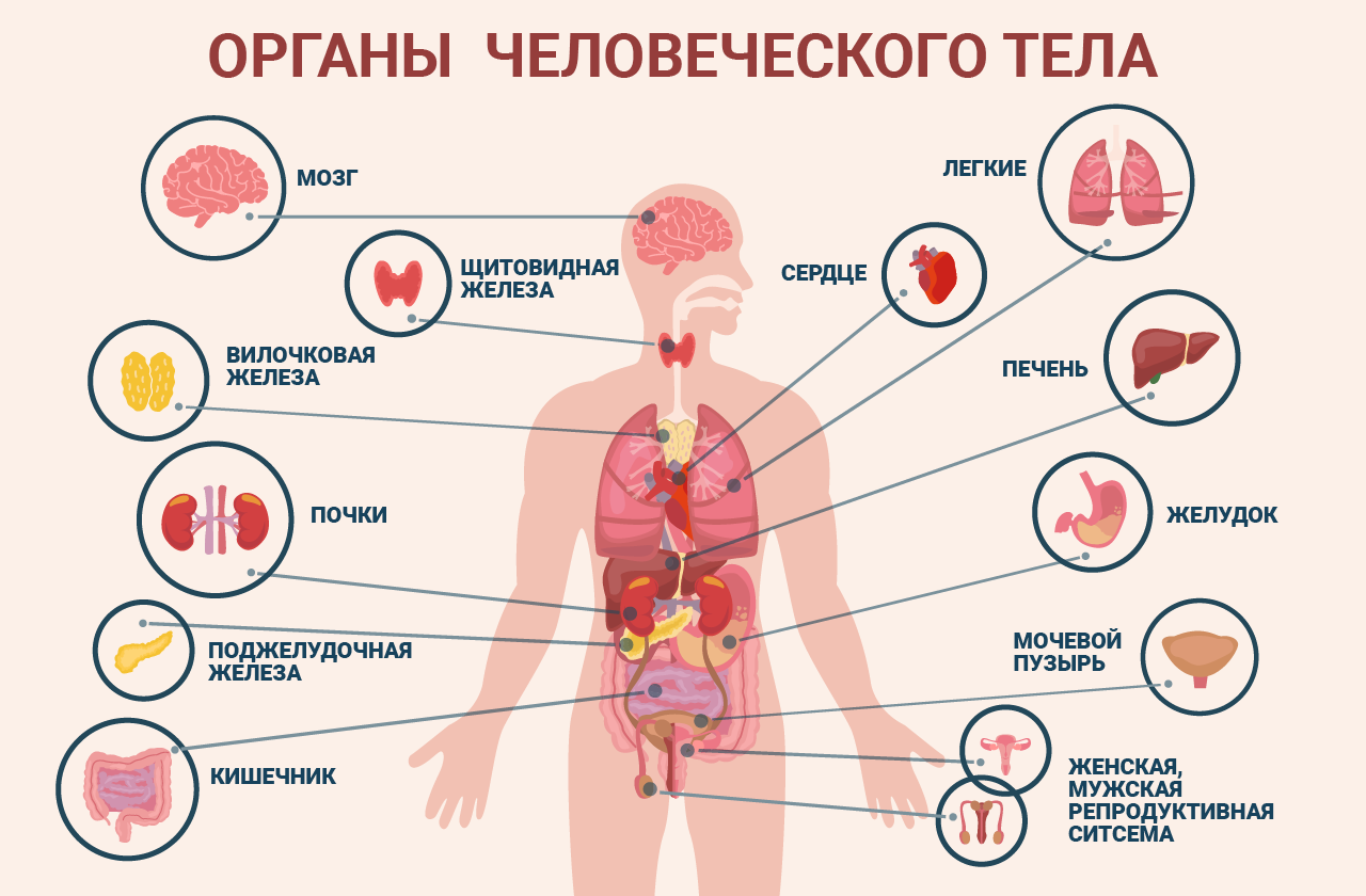 С миру по нитке - ae821ff92f6df57312eaf3c00dfaf3719b3ada0a.png