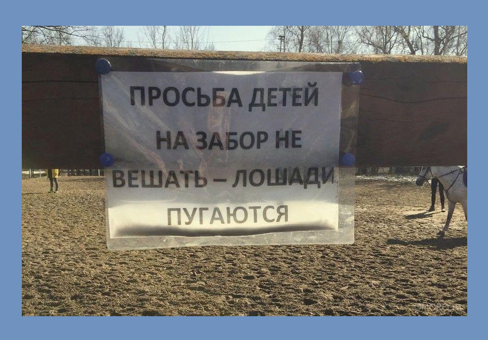 Анекдоты, и ходячие анекдоты - yDhwGcgekY0.jpg