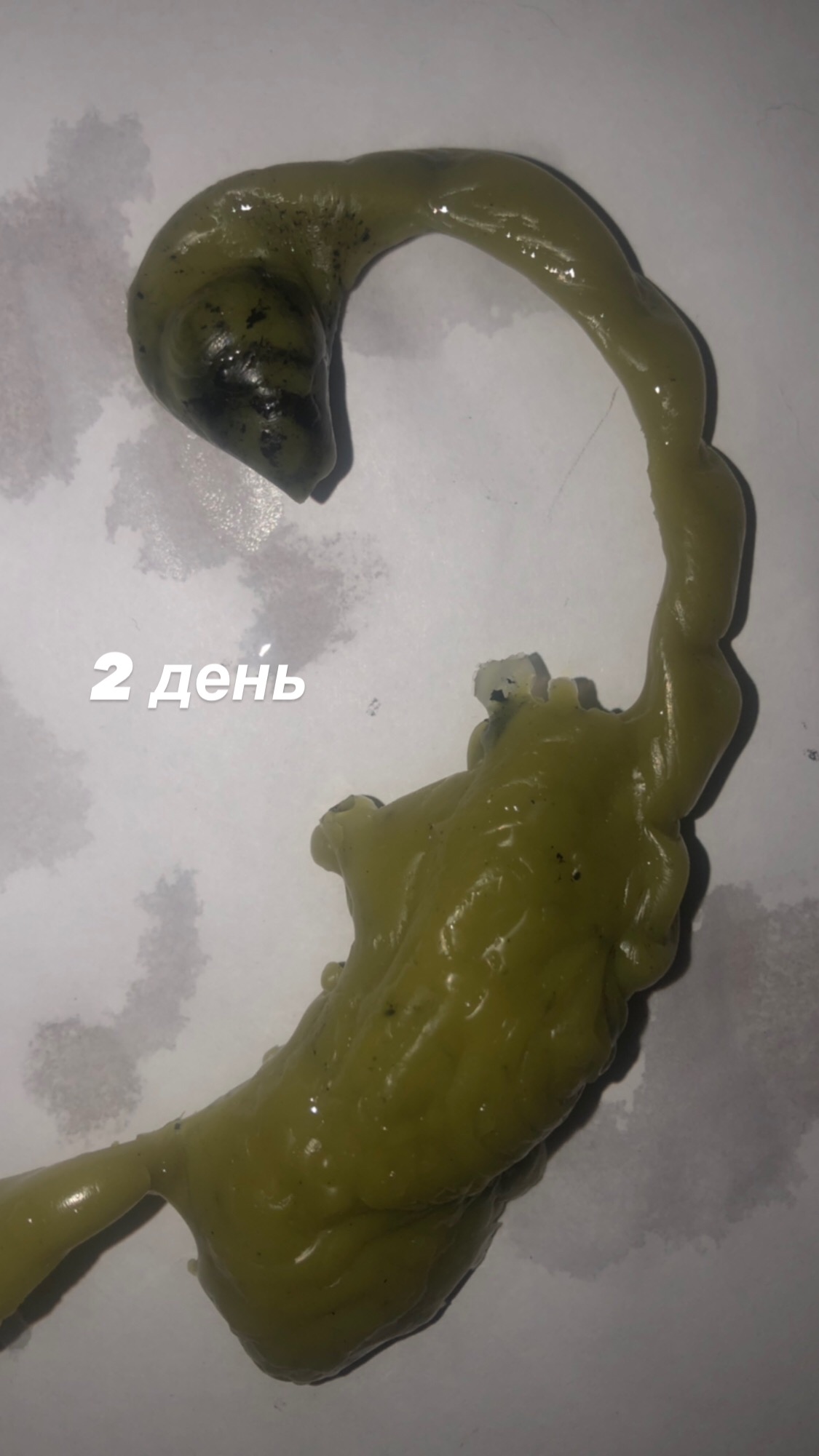 Интерпретация ВОСКОВЫХ ОТЛИВОК - 9155270D-DD43-4AE1-BD47-445639595179.jpeg