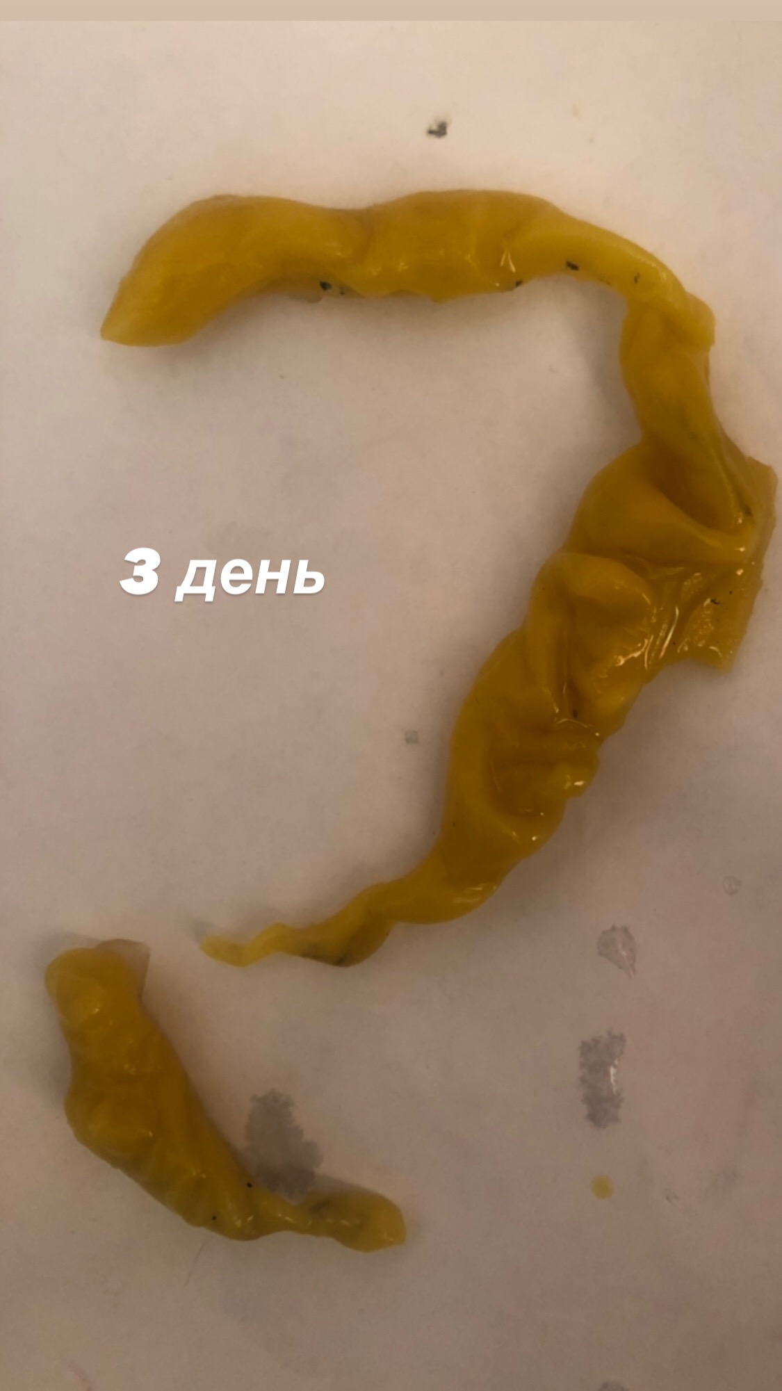 Интерпретация ВОСКОВЫХ ОТЛИВОК - CCD3B6C7-CF7D-456D-9DAD-4D5AC8D3758D.jpeg