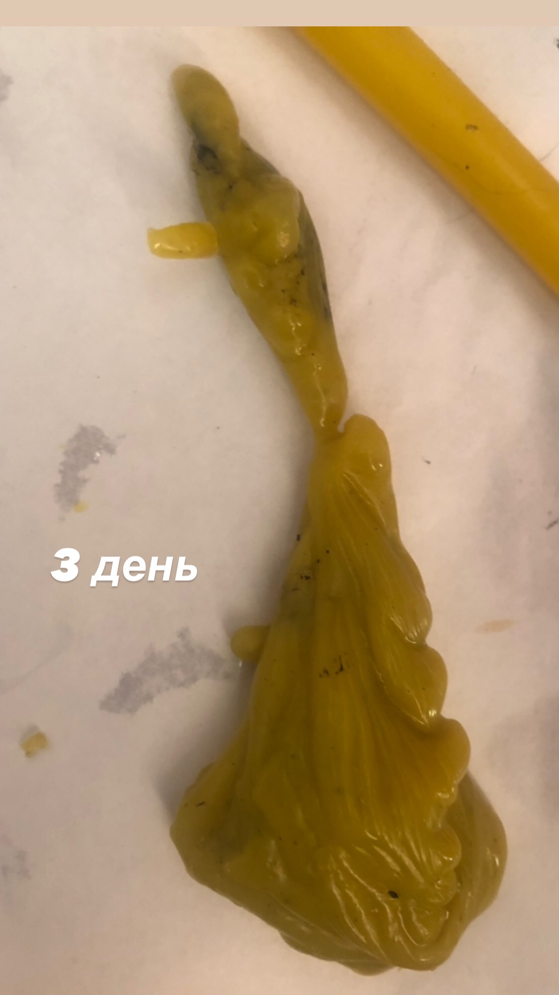 Интерпретация ВОСКОВЫХ ОТЛИВОК - 32AC87B7-B806-4FBE-992A-4D8A7565F090.jpeg