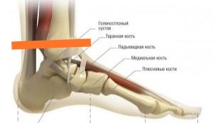 С миру по нитке - IMG_20210415_082335.jpg