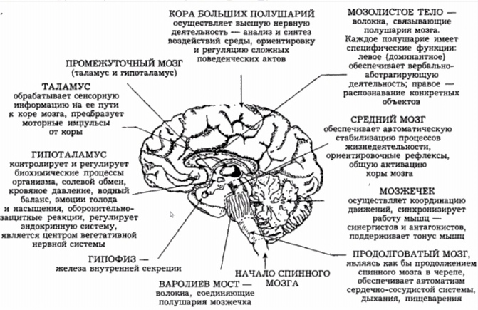 С миру по нитке - IMG_20210425_104534.jpg