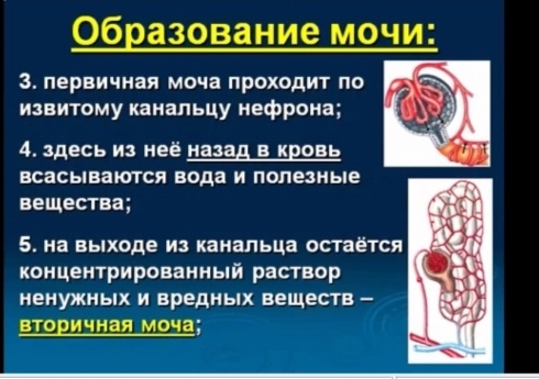С миру по нитке - IMG_20210425_124436.jpg