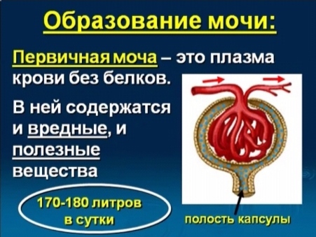 С миру по нитке - IMG_20210425_125051.jpg