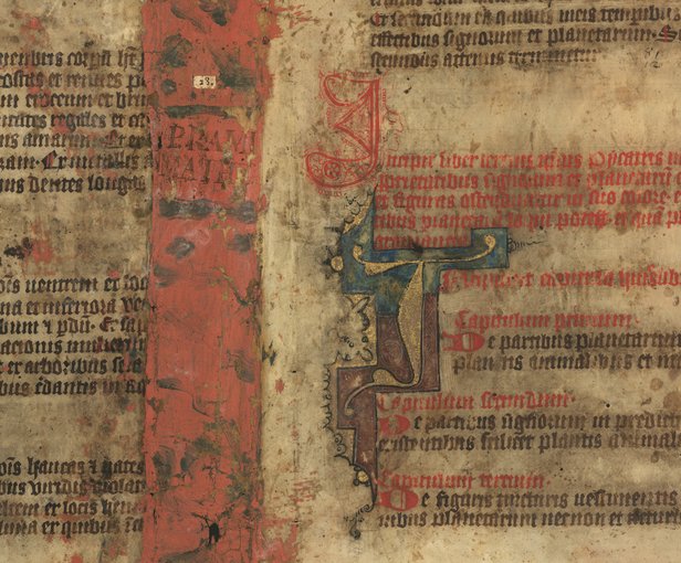 С миру по нитке - Manuscript_of_the_Picatrix (1).jpg