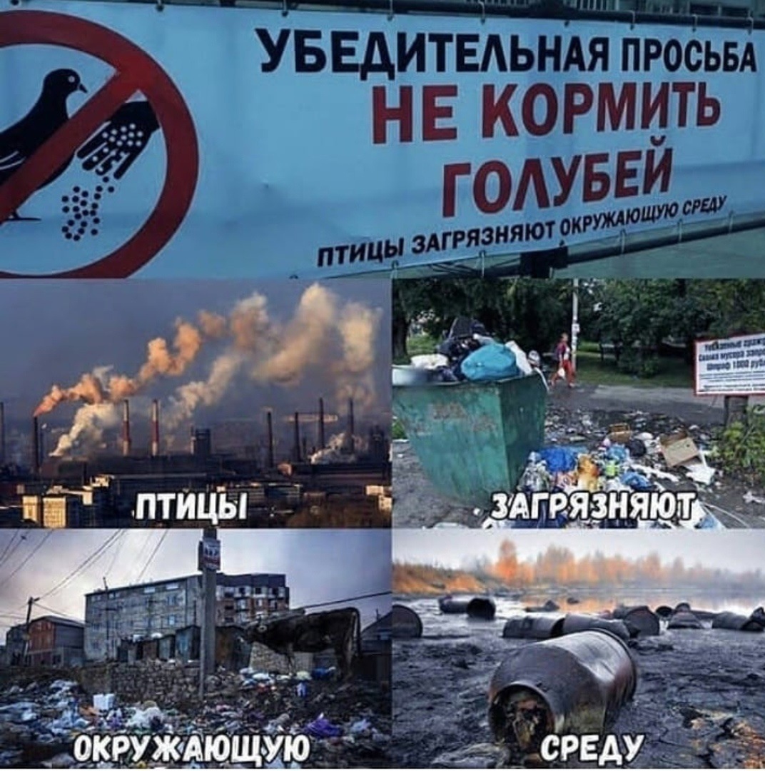 Анекдоты, и ходячие анекдоты - JJp1FwDFU8s.jpg