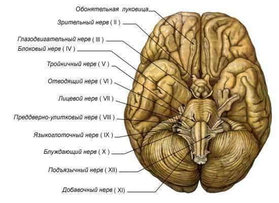 С миру по нитке - 10913_900.jpg