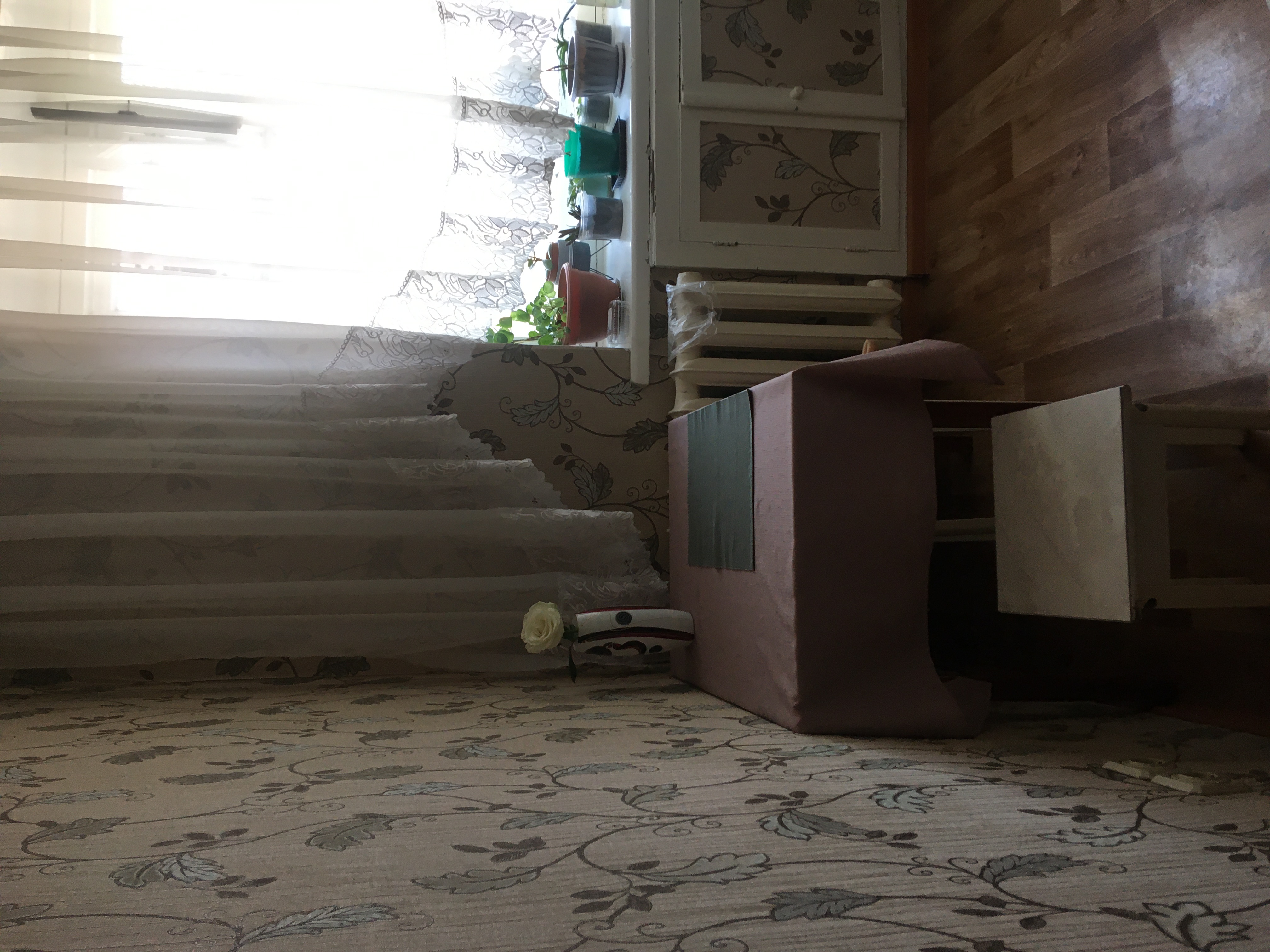 Есть ли негатив на квартире? - 99AA7F12-11D0-4217-AF77-244C9D7315CF.jpeg
