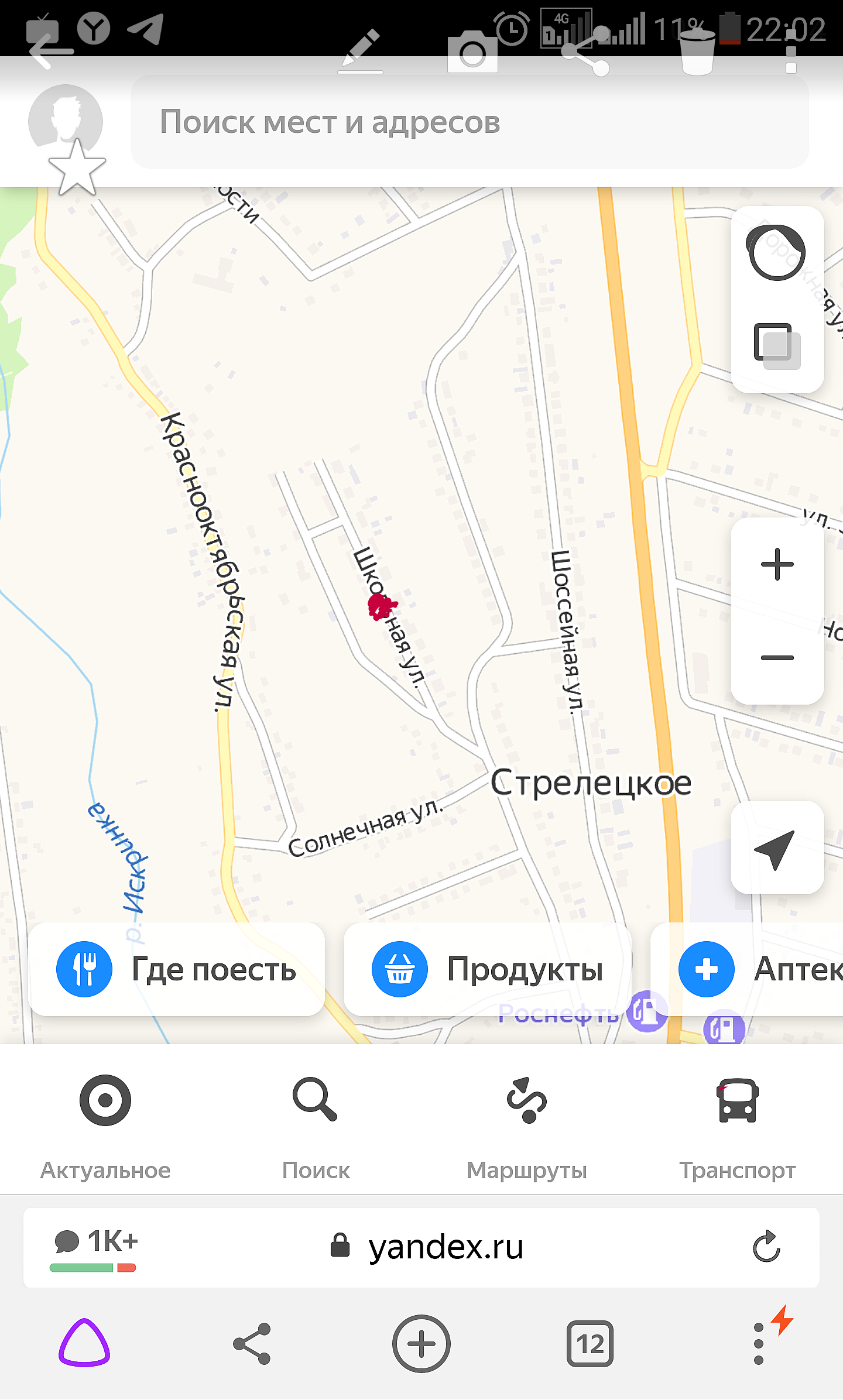 Пропал любимец кот - Capture+_2021-04-29-22-05-09.png