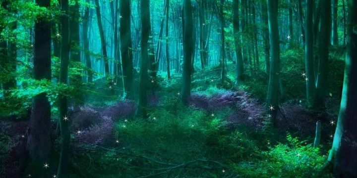 От души... - 3D20B6FB-93BC-4925-A24C-867D674BB6F6.jpeg