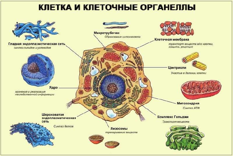 Блог mudder - img-_o9KV7.jpg