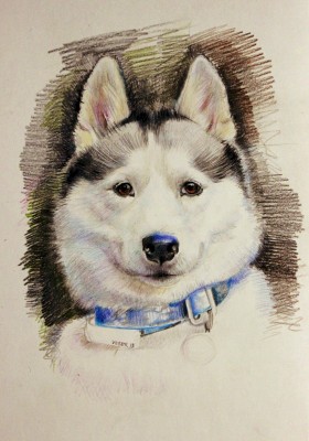 мои рисунки - IMG_1656.jpg