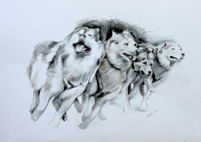 мои рисунки - IMG_0138.jpg