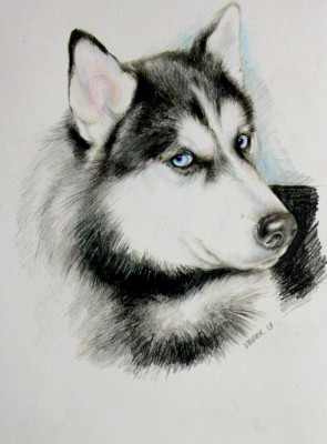 мои рисунки - IMG_1939.jpg