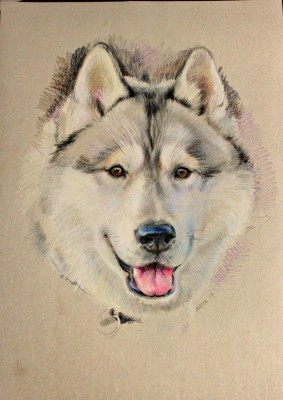 мои рисунки - IMG_4512.jpg