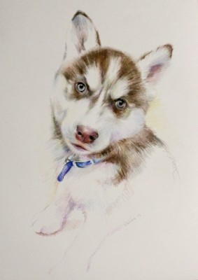 мои рисунки - IMG_19371.jpg