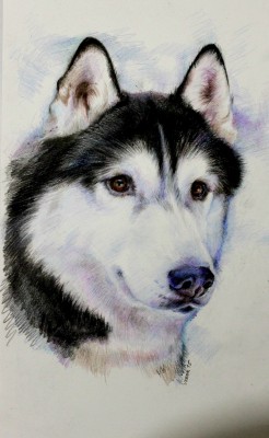 мои рисунки - IMG_5159.jpg