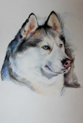 мои рисунки - IMG_5163.jpg