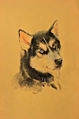 мои рисунки - IMG_69991.jpg