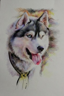 мои рисунки - IMG_5179.jpg