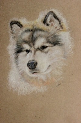 мои рисунки - IMG_16661.jpg