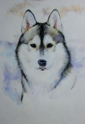 мои рисунки - IMG_5170.jpg