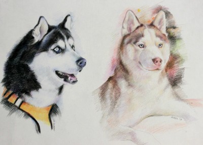 мои рисунки - IMG_5183.jpg
